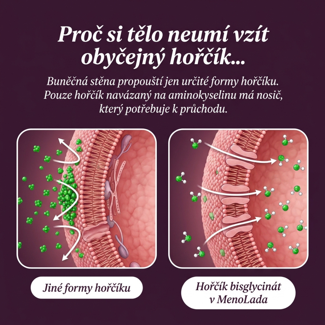 MenoLada – Hořčík 4v1 Komplex – 60 veganských tablet